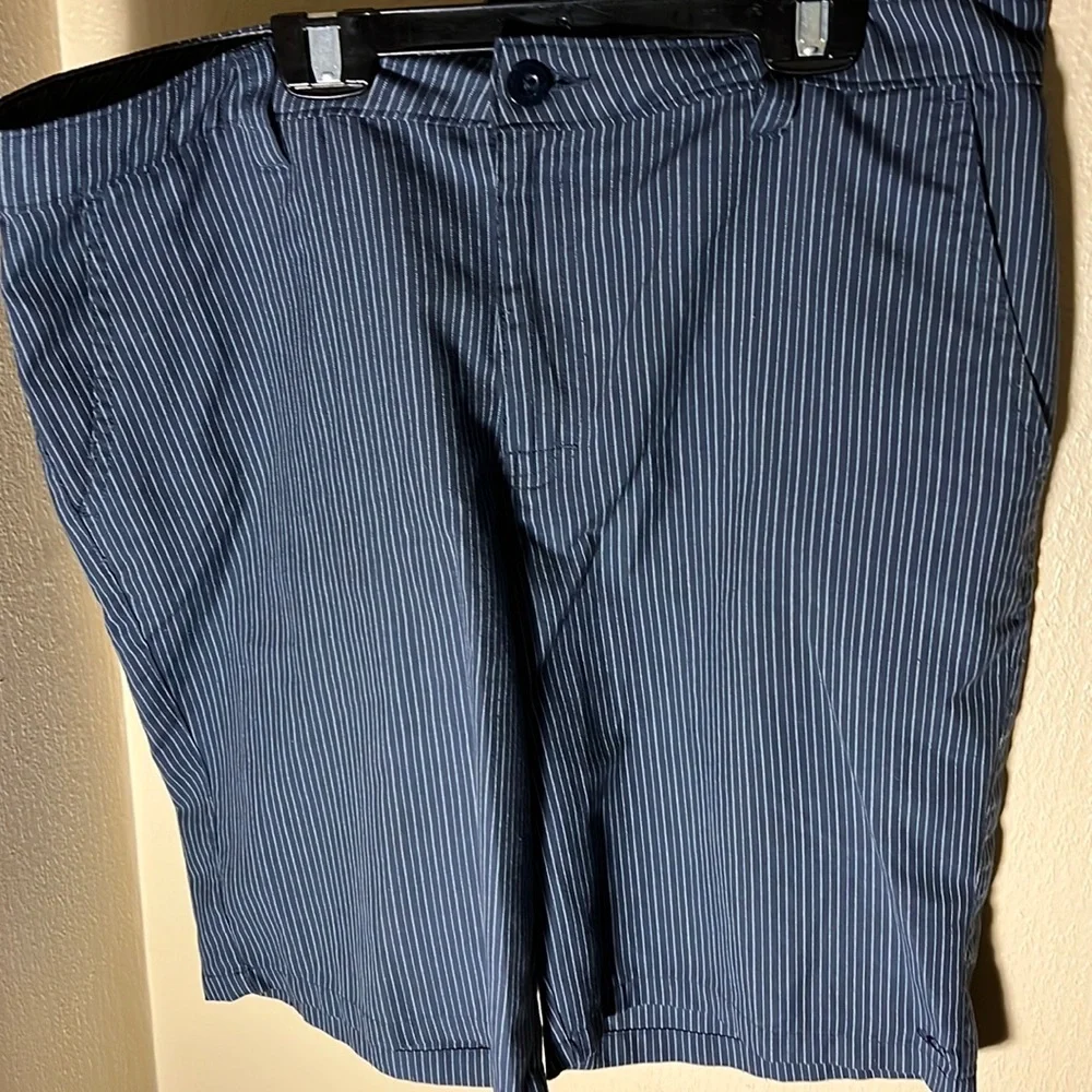 O’Neill Mens Vertical Striped Shorts Size Waist 34” Inseam 10” Color Blue/White